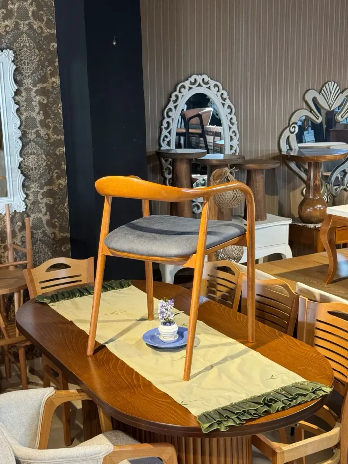 yilan-sandalye-kollu-cafe-bar-sandalyeleri-1041